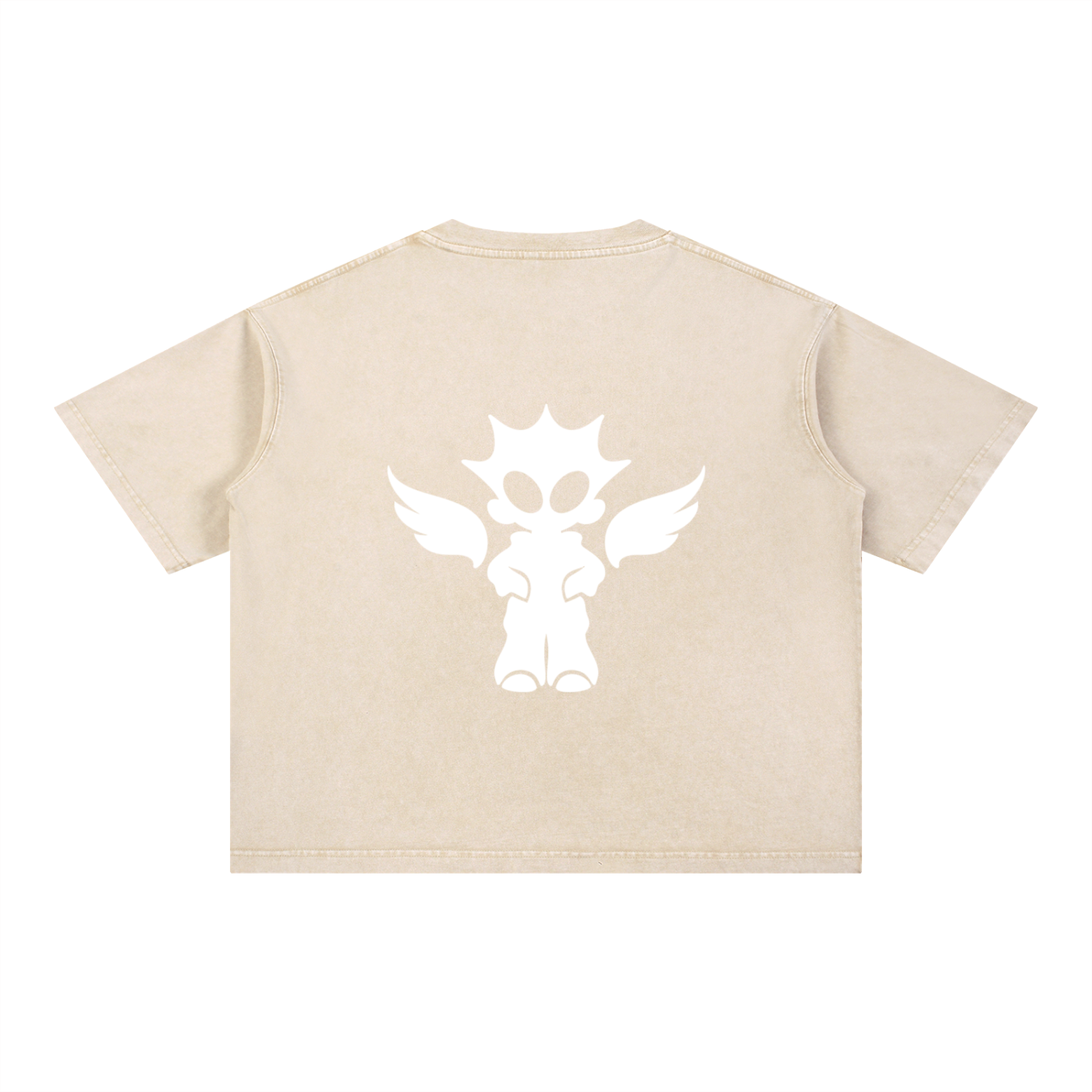 Mineral Wash Boxy Cotton T-Shirt