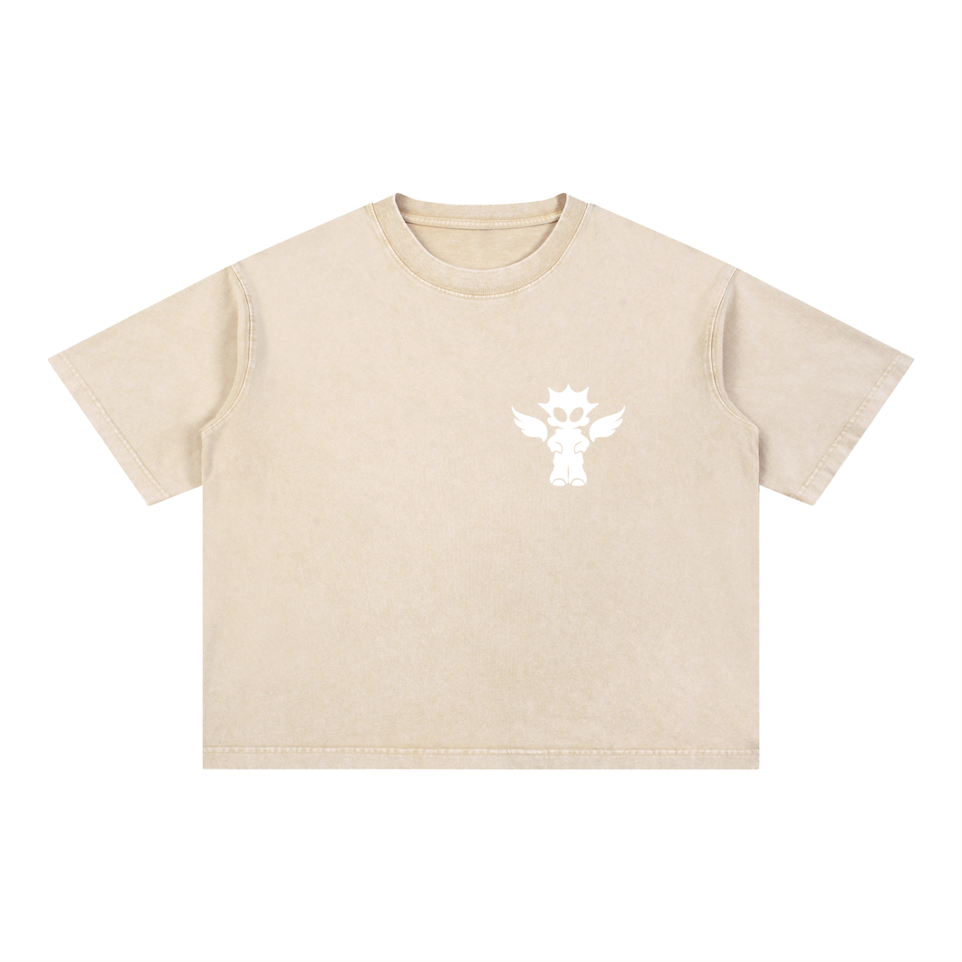 Mineral Wash Boxy Cotton T-Shirt