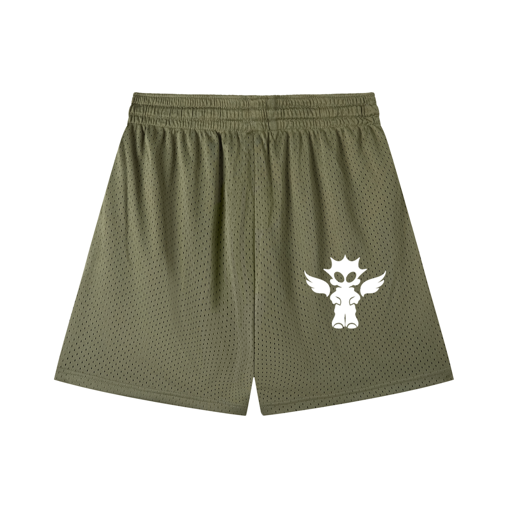 Mesh Drawstring Shorts