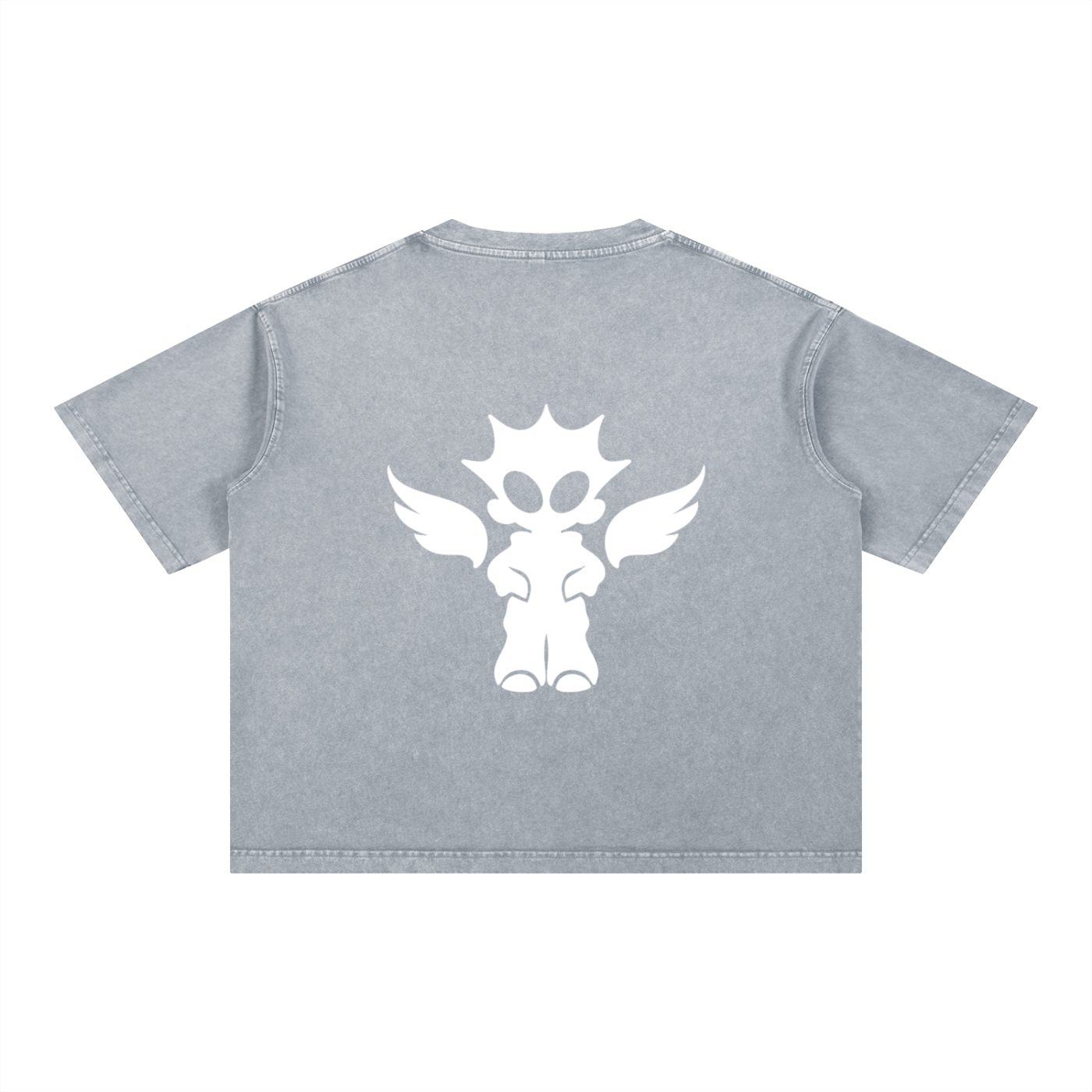 Mineral Wash Boxy Cotton T-Shirt