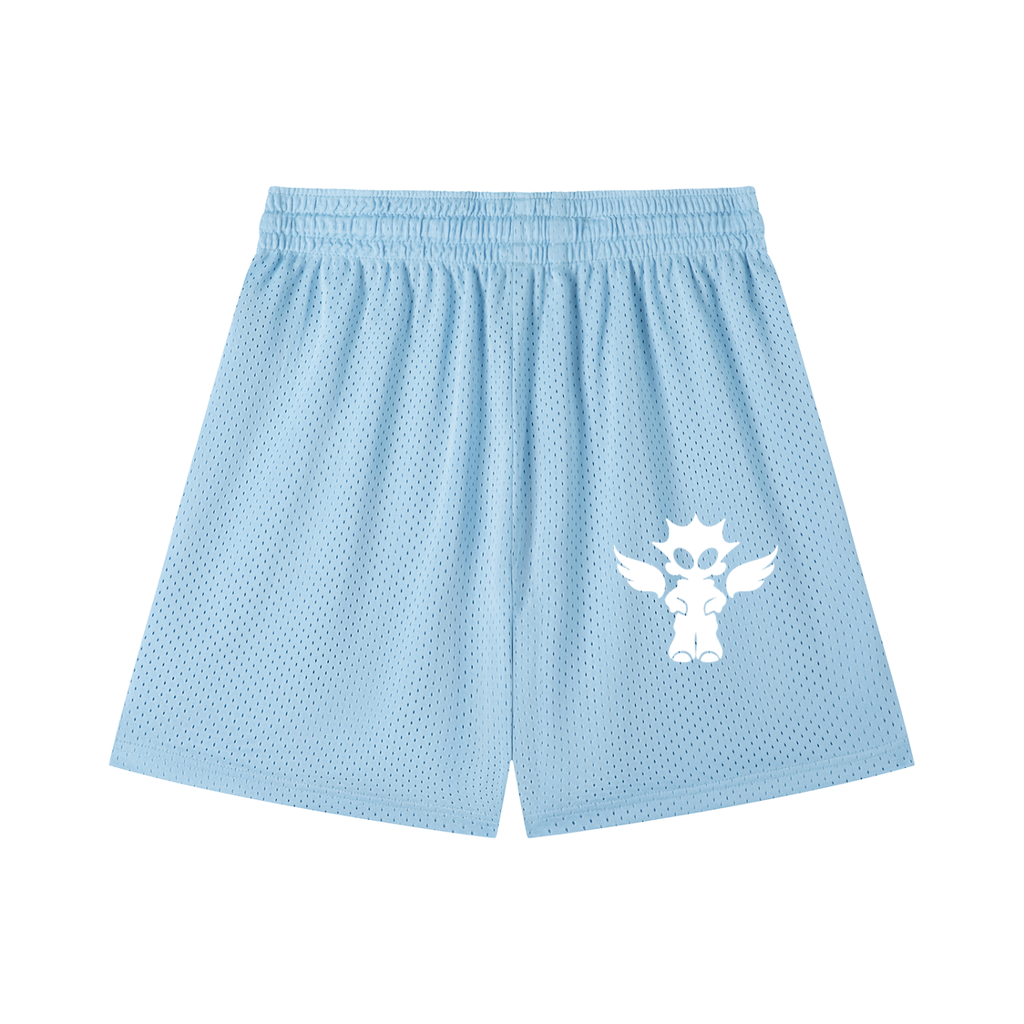 Mesh Drawstring Shorts