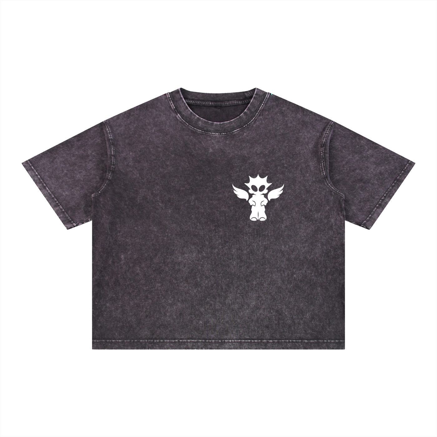 Mineral Wash Boxy Cotton T-Shirt