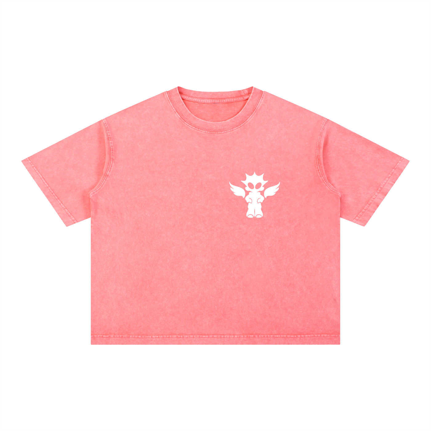 Mineral Wash Boxy Cotton T-Shirt