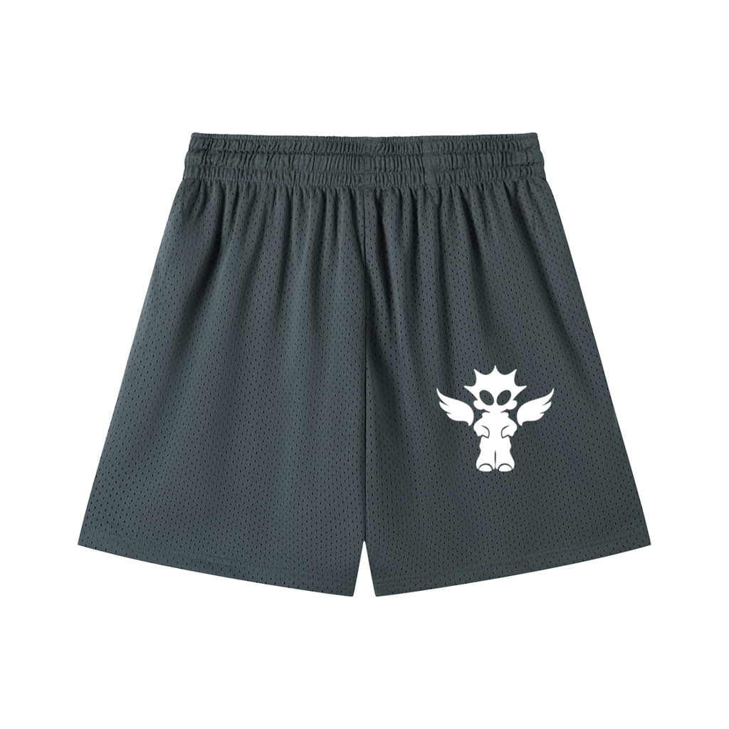 Mesh Drawstring Shorts