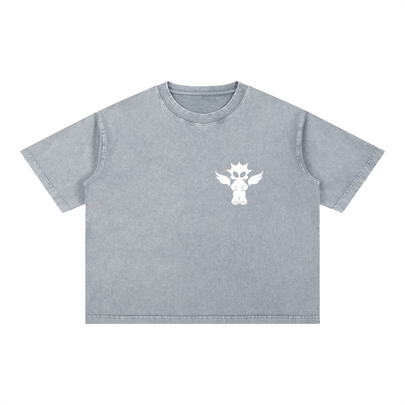 Mineral Wash Boxy Cotton T-Shirt