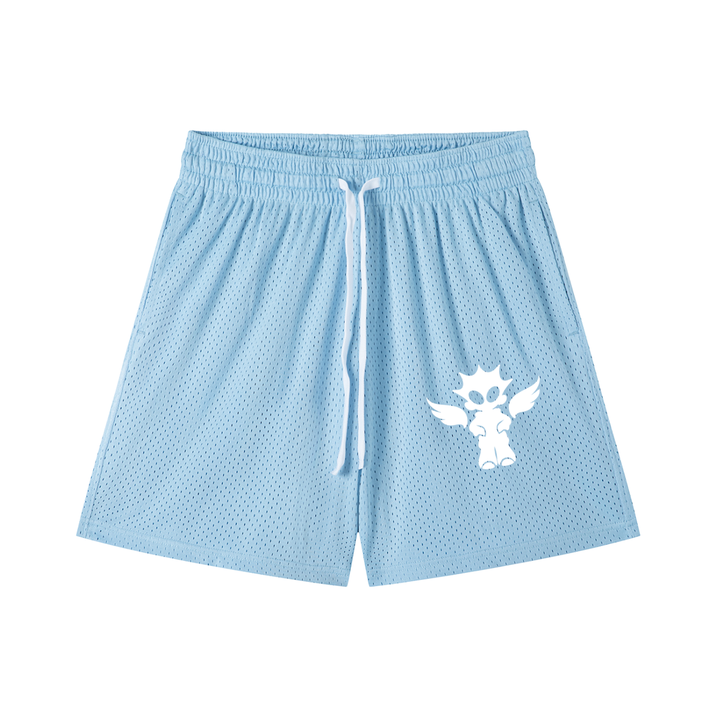 Mesh Drawstring Shorts
