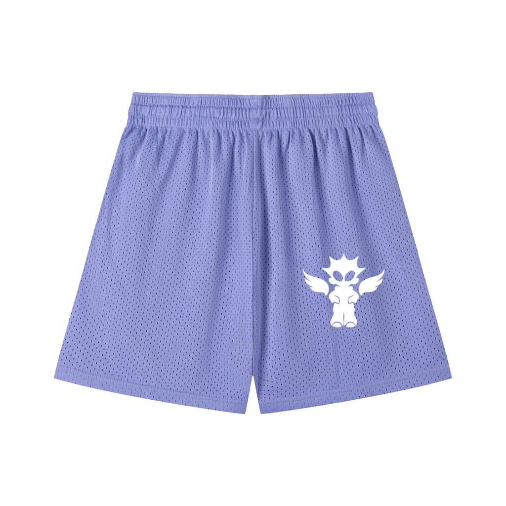 Mesh Drawstring Shorts