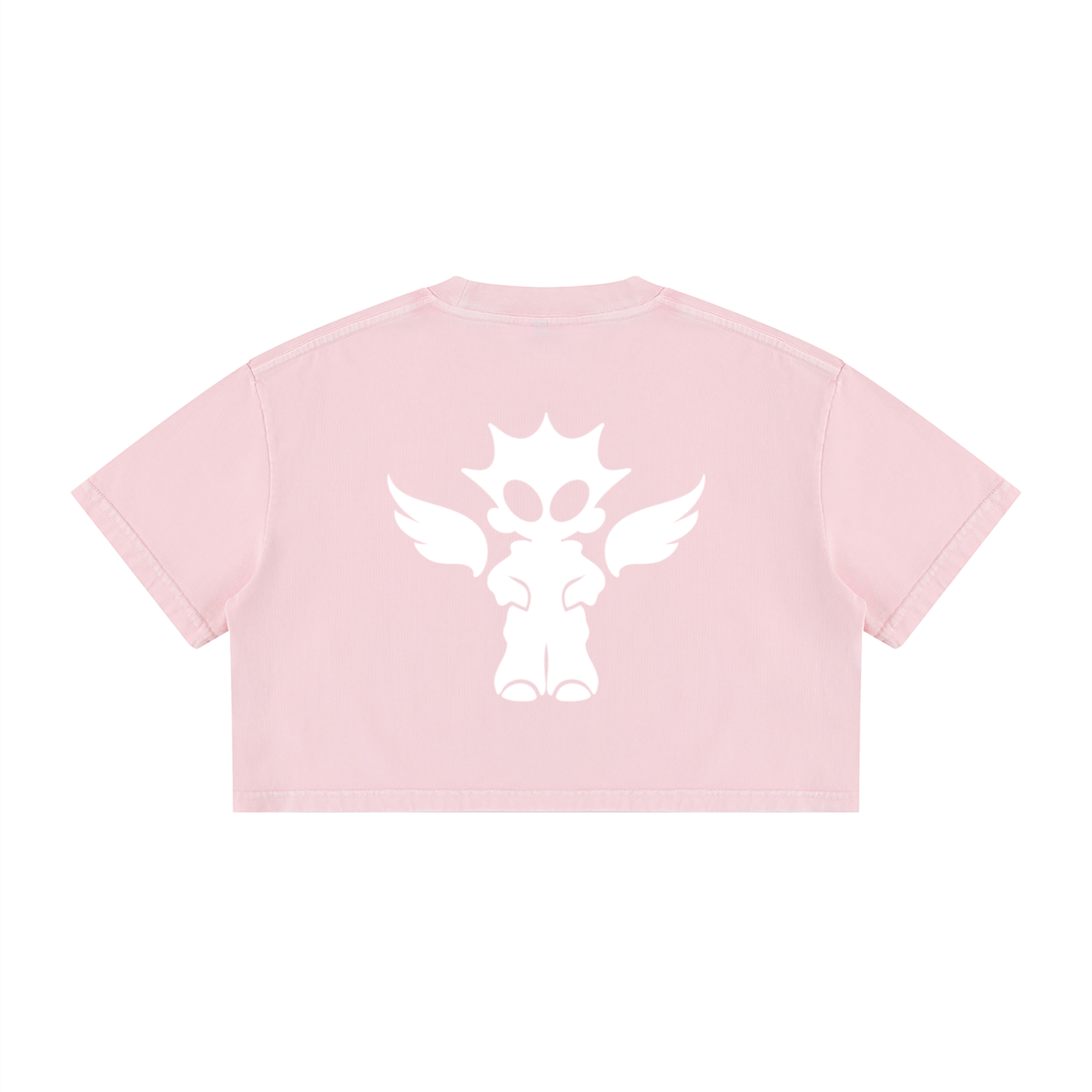 Women's Mineral Wash Cotton Crop T-Shirt