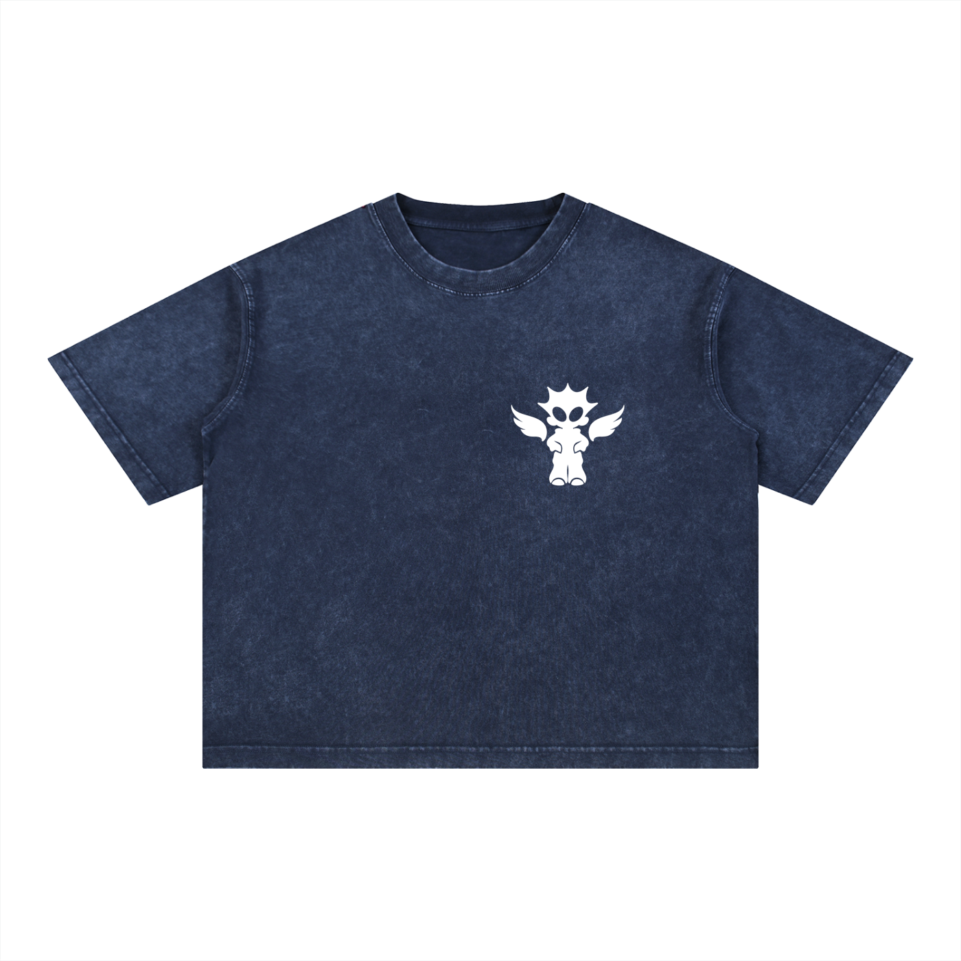 Mineral Wash Boxy Cotton T-Shirt