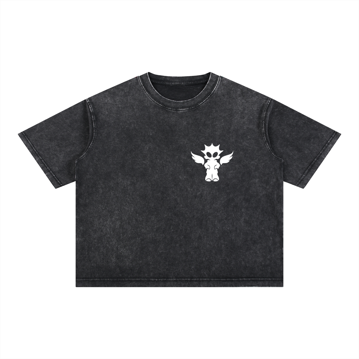 Mineral Wash Boxy Cotton T-Shirt